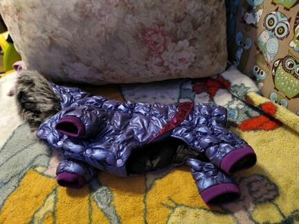 Одежда для собак