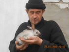Молодняк кроликов объявление продам
