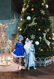 Дед мороз и снегурочка