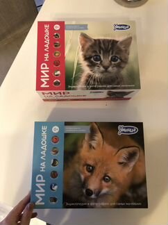 «Мир ну ладошке» наборы Умница