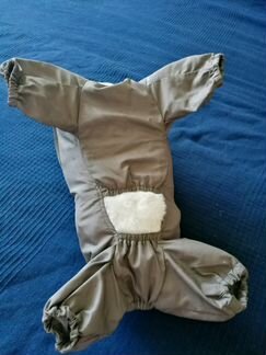 Комбез для щенка