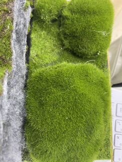 Искусственный мох, Камни во Мхе