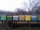 Продаётся прицеп для перевозки пчёл объявление продам
