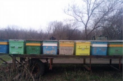 Продаётся прицеп для перевозки пчёл