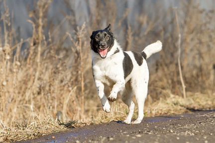 Кайли ищет дом