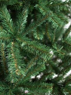 Ель сказака