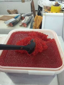 Икра красная 2023