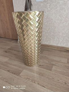 Пахира(комнатное растение)