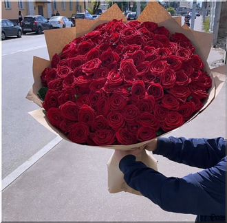 Розы красные