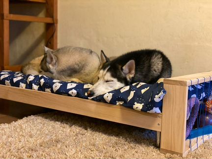 Лежаки для кошек и собак