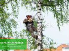 Удаление, обрезка и спил деревьев в Егорьевске объявление продам